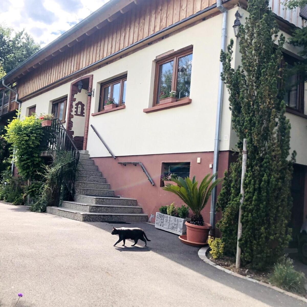 Gite Du Ried Bischwiller Екстер'єр фото